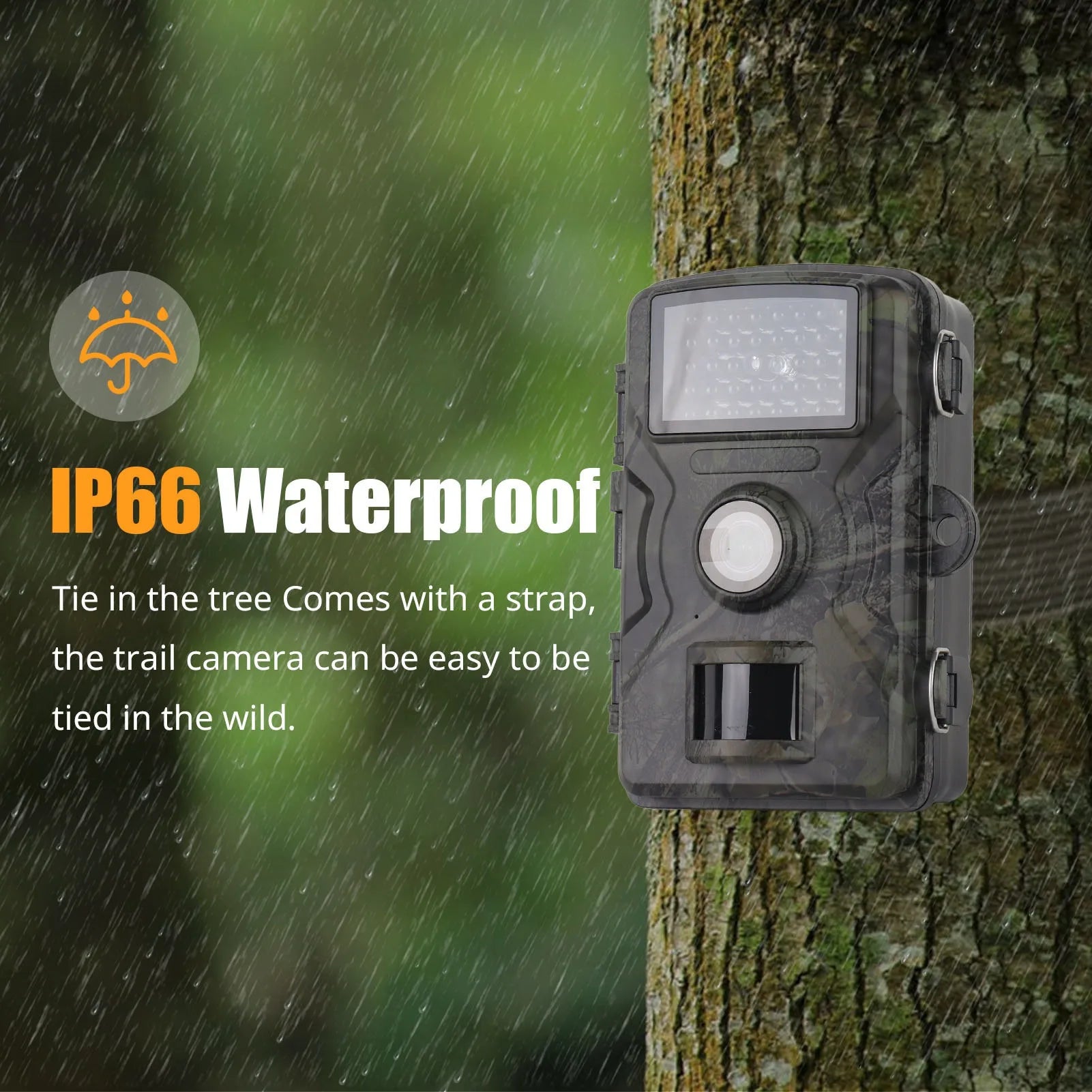 Animal observation camera