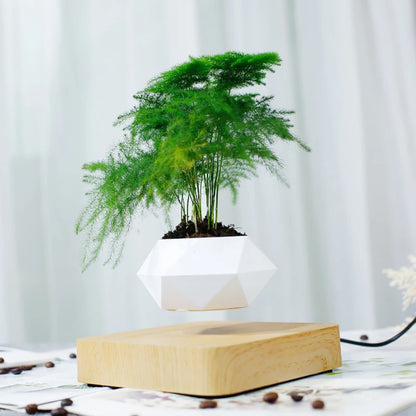 Levitating Air Bonsai Pot | Magnetic Floating Plant Decor