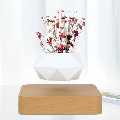 Levitating Air Bonsai Pot | Magnetic Floating Plant Decor