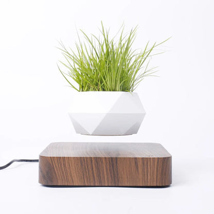 Levitating Air Bonsai Pot | Magnetic Floating Plant Decor