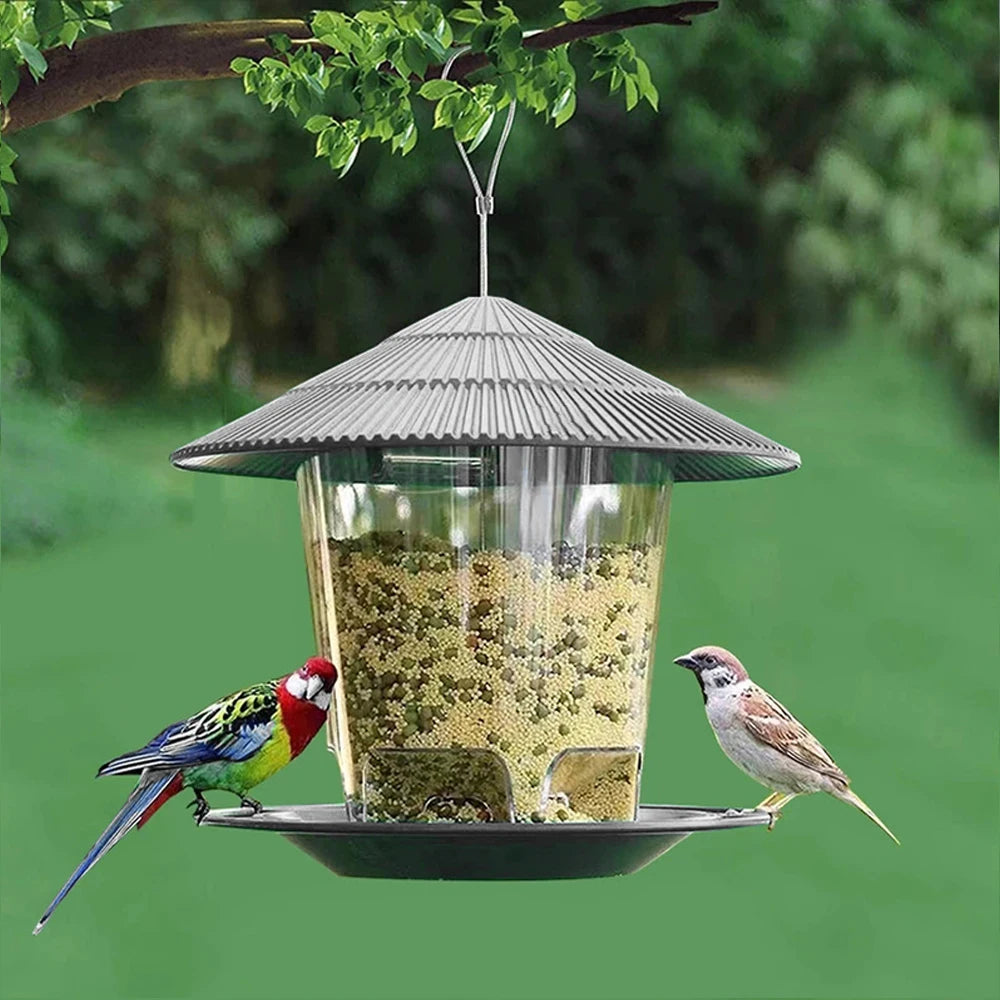 Hanging wild bird feeder