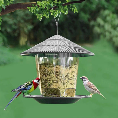 Hanging wild bird feeder