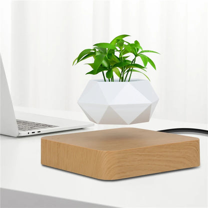 Levitating Air Bonsai Pot | Magnetic Floating Plant Decor