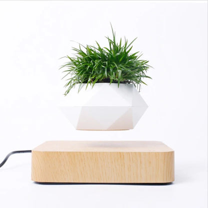 Levitating Air Bonsai Pot | Magnetic Floating Plant Decor