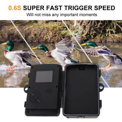 Motion-activated wildlife camera