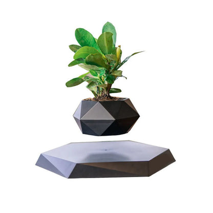 Levitating Air Bonsai Pot | Magnetic Floating Plant Decor