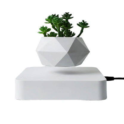 Levitating Air Bonsai Pot | Magnetic Floating Plant Decor